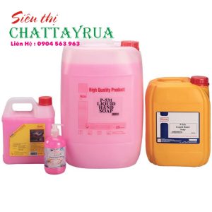 Nước rửa tay diệt khuẩn ECO139-KY (Liquid Hand Cleaner)